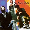 the_family_stand-chain
